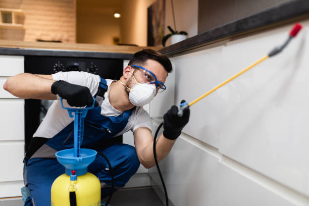 Best Affordable Pest Control Services  in Thermopolis, WY