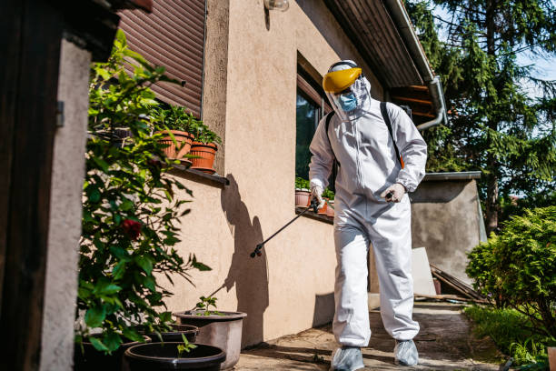 Best Best Pest Control Companies  in Thermopolis, WY